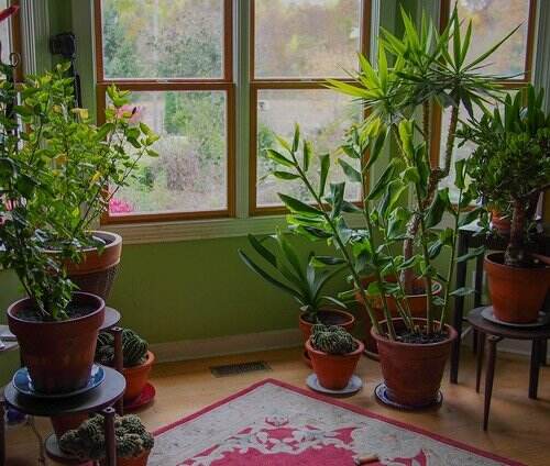 3 Ways to Introduce More Fresh Air Into Your Home