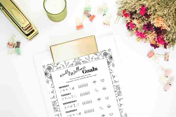image of Wellness goals checklist on a clipboard on a table with flowers, a stapler and paperclips